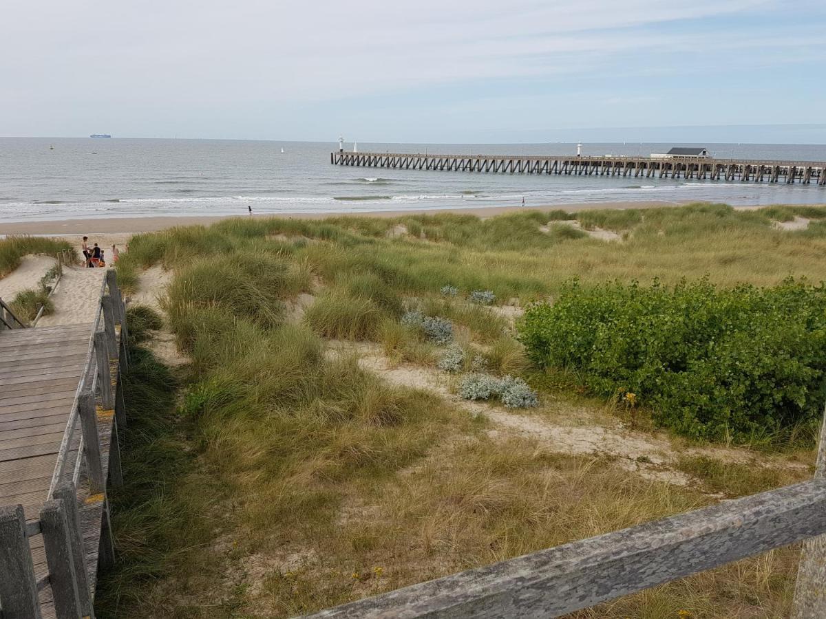 Seacottage Blankenberge - Wenduine デ ハーン エクステリア 写真